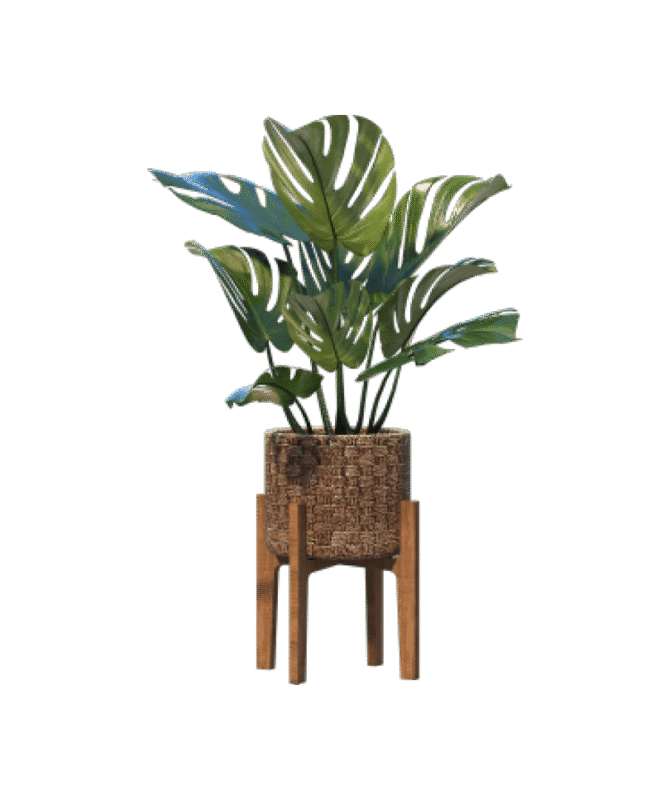 shop-bg-16
